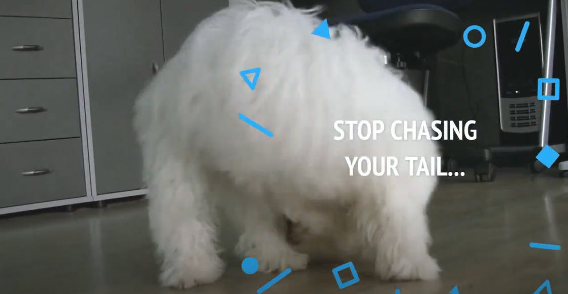 Stop Chasing Your Car Care Tail